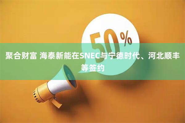 聚合财富 海泰新能在SNEC与宁德时代、河北顺丰等签约