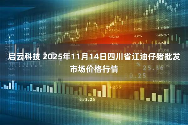 启云科技 2025年11月14日四川省江油仔猪批发市场价格行情