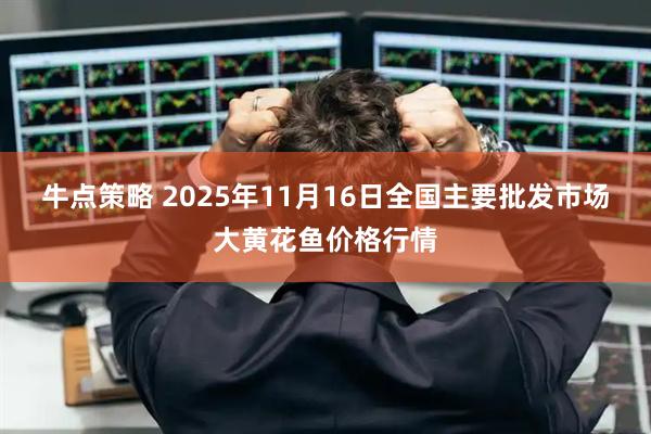 牛点策略 2025年11月16日全国主要批发市场大黄花鱼价格行情