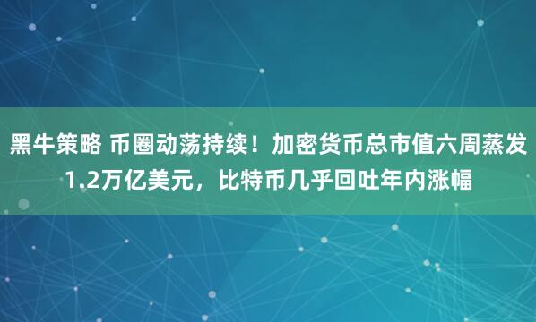 黑牛策略 币圈动荡持续！加密货币总市值六周蒸发1.2万亿美元，比特币几乎回吐年内涨幅
