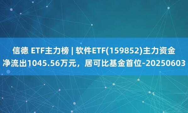 信德 ETF主力榜 | 软件ETF(159852)主力资金净流出1045.56万元，居可比基金首位-20250603