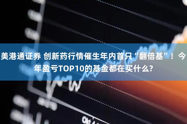 美港通证券 创新药行情催生年内首只“翻倍基”！今年盈亏TOP10的基金都在买什么?